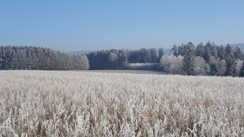 Pension Hofer Bad Berneck im Fichtelgebirge Exteriér fotografie